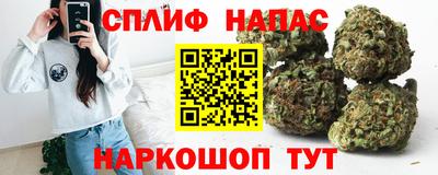 гашик Татарск