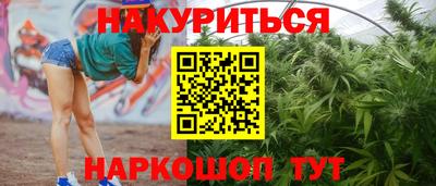 прущие грибы Тверь