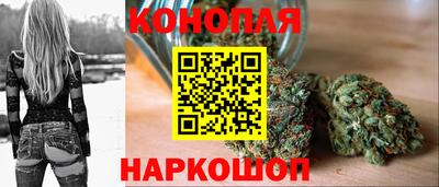 прущие грибы Тверь