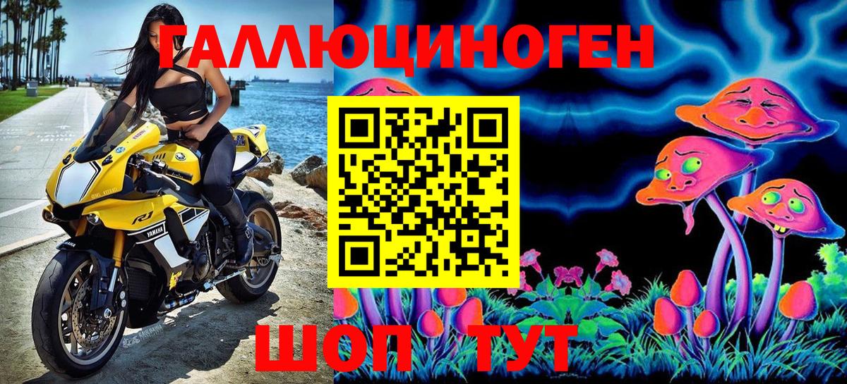 Удомля  Галлюциногенные грибы Psilocybe  Вход с VPN 