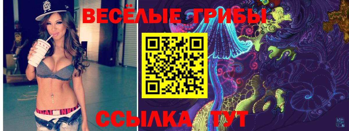 Псилоцибиновые грибы мухоморы Удомля